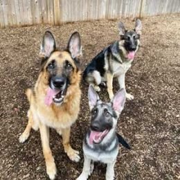 Playgroup